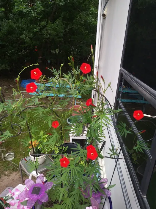 Bandera RV Park Picture 9