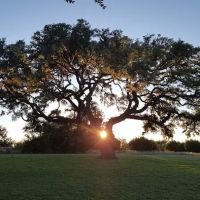 Skyline Ranch RV Park ico