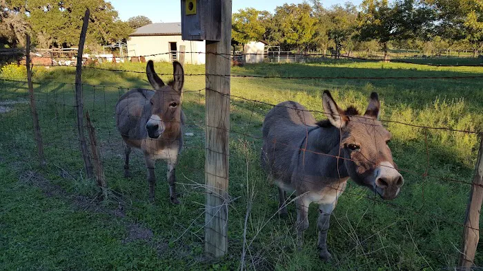 Skyline Ranch RV Park Picture 2