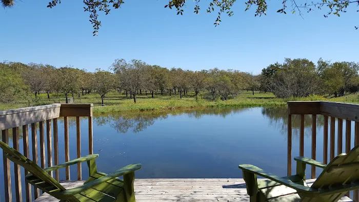 Skyline Ranch RV Park Picture 4