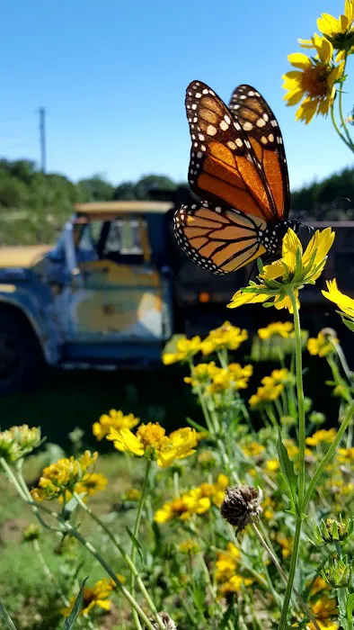 Skyline Ranch RV Park Picture 6