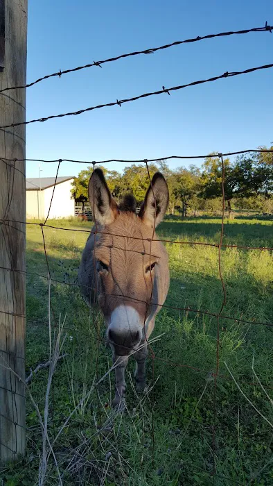 Skyline Ranch RV Park Picture 10