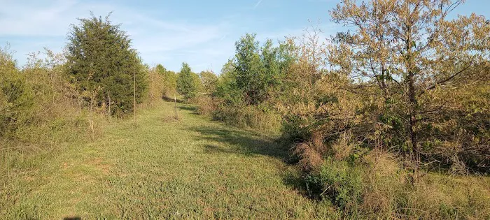 Cedar Ridge RV Park and Storage Picture 4