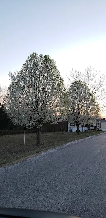 Rolling Meadows Mobile Home Community Picture 4