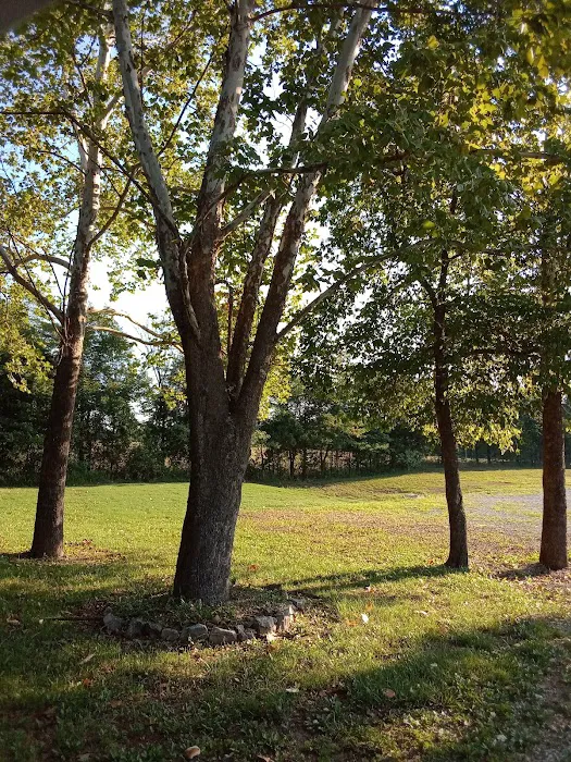 Branson View Estates Mobile Home Park Picture 9