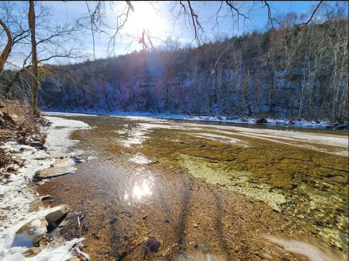 Bull Creek RV Park Picture 8