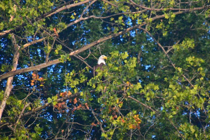 Point of View RV Park Picture 2