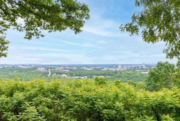 Branson View RV Park Picture 10