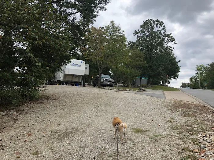 Branson Shenanigans RV Park Picture 6