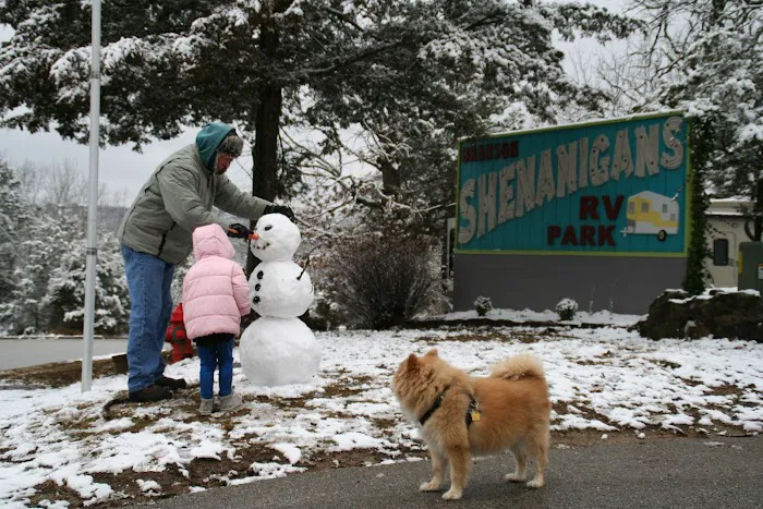 Branson Shenanigans RV Park Picture 9