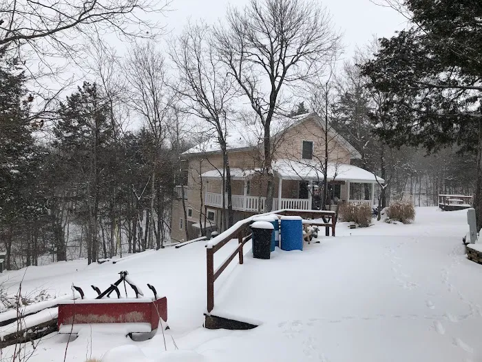 Branson Shenanigans RV Park Picture 10