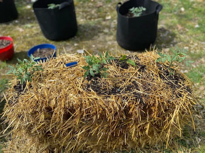 Branson Ridge Resort Picture 9