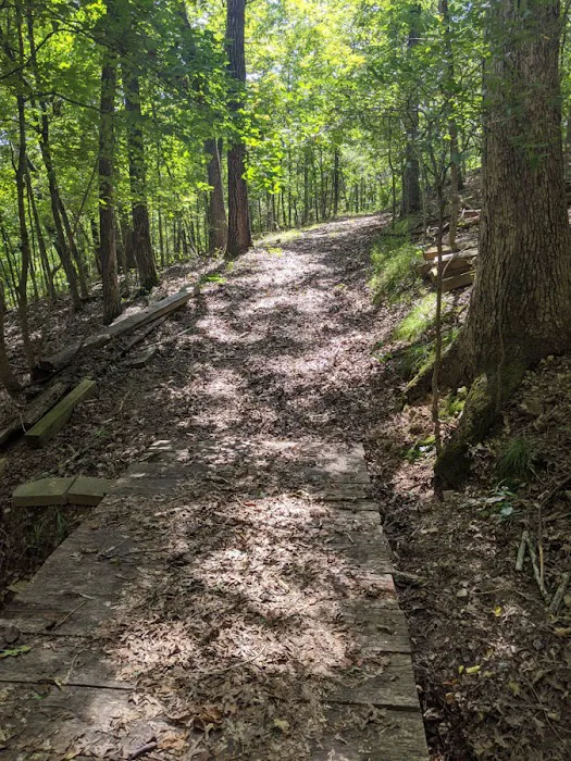 Branson Ridge Resort Picture 7