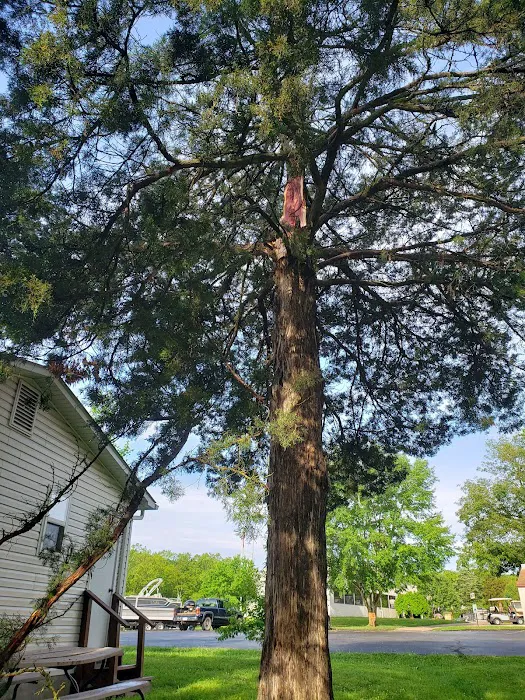 Castle View Country Club Picture 9