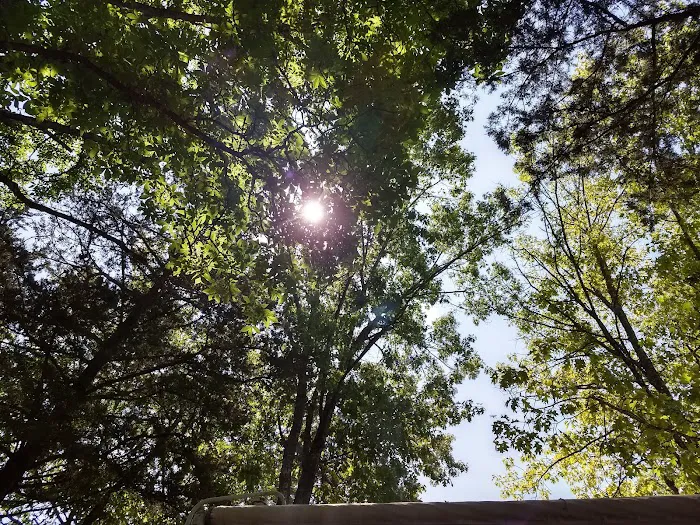 Castle View Country Club Picture 5