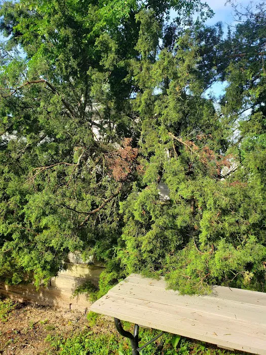 Castle View Country Club Picture 8