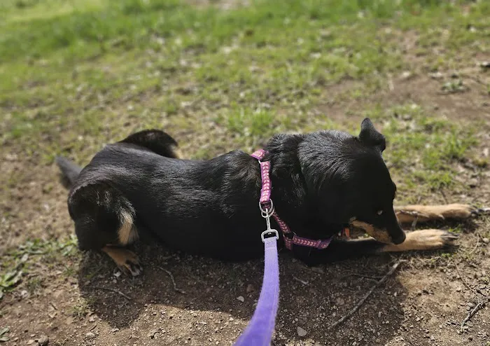 Castle View RV Resort Picture 3