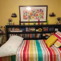 Carson's Country ico