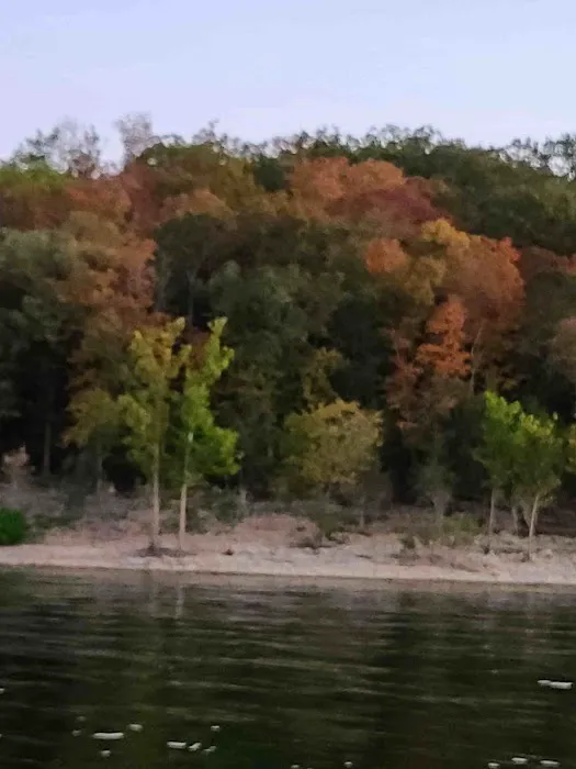 Coachlight Village Mobile Home Park Picture 4