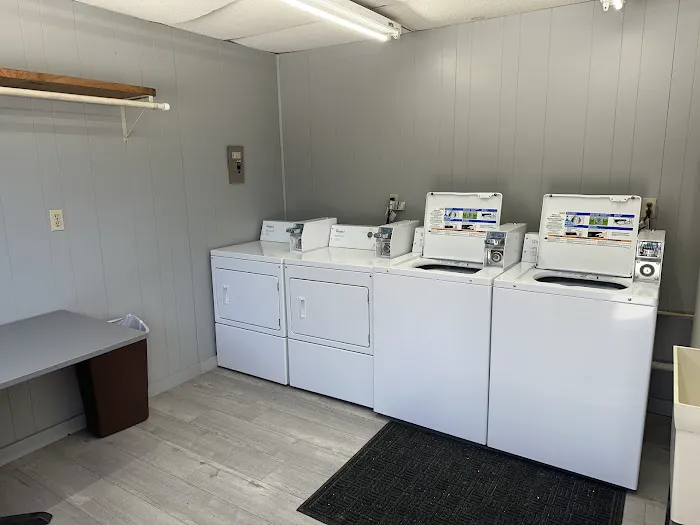 Crazy Daisy's RV Park Picture 5