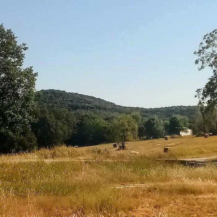 Crazy Daisy's RV Park Picture 7