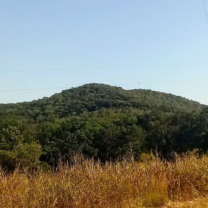 Crazy Daisy's RV Park Picture 8