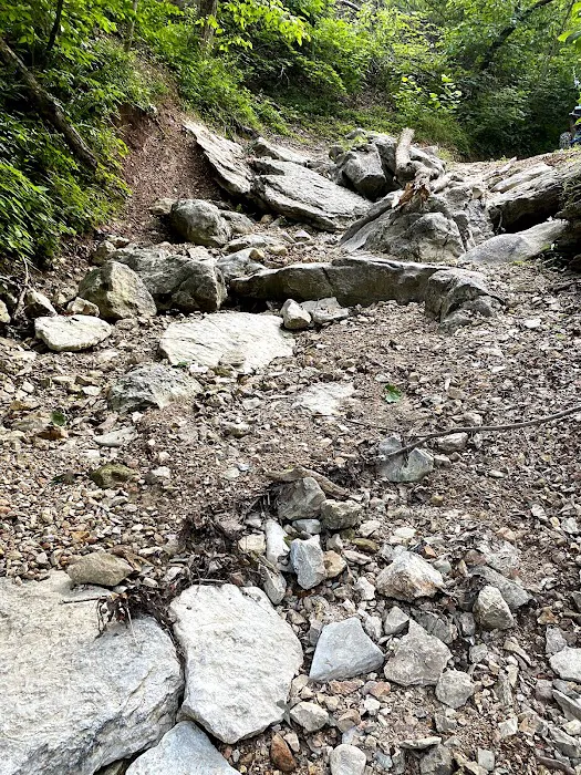 3B Off Road & RV Park Campground Picture 3