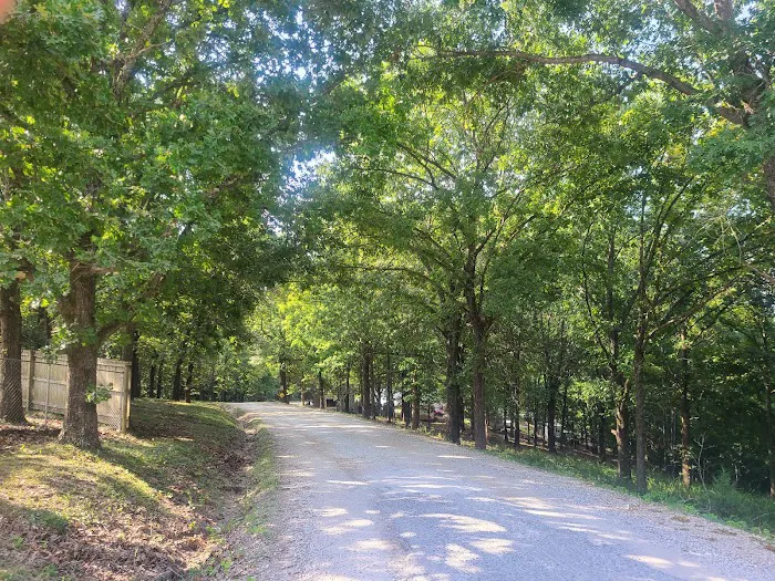 Beaver Lake RV Resort Picture 5