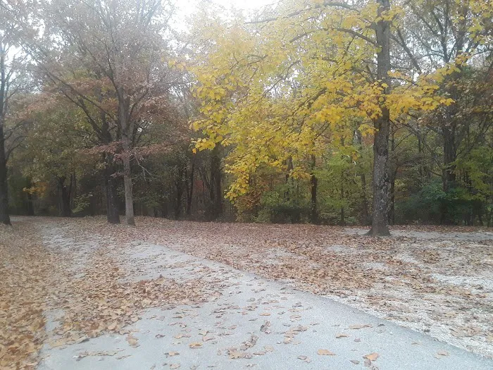 Beaver Lake RV Resort Picture 9