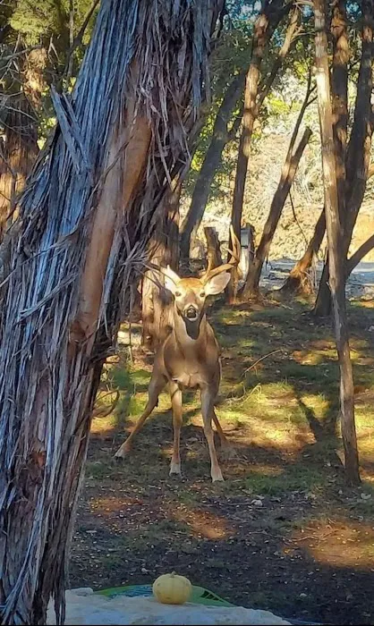 Sereno Medina RV Park Picture 1