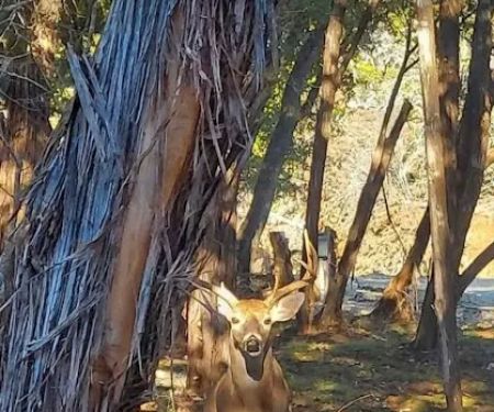 Sereno Medina RV Park