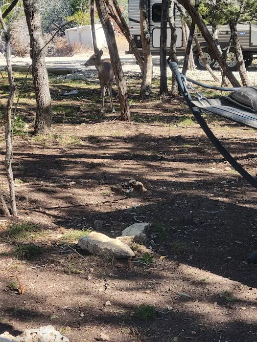 Sereno Medina RV Park Picture 3