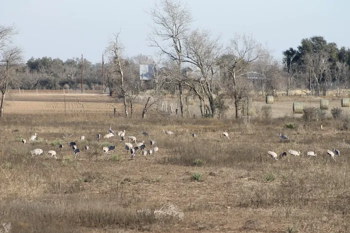 Westbound Rv Park Picture 2