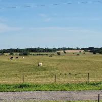 Yearling RV Park ico