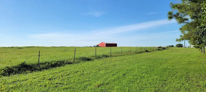 Yearling RV Park Picture 8