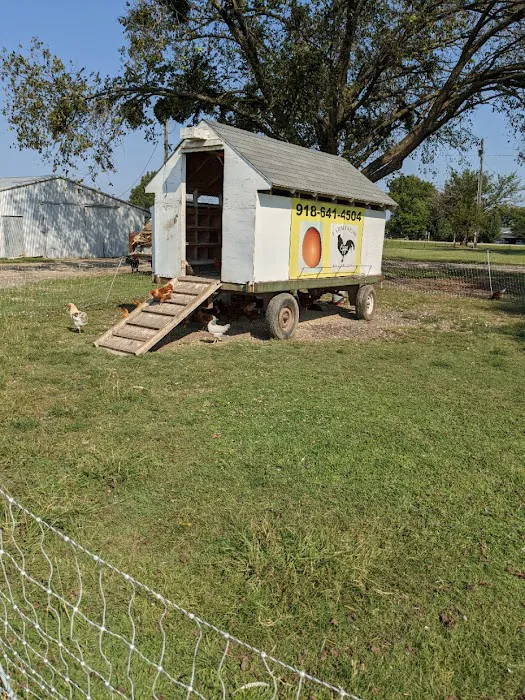 Morris RV Park Picture 5