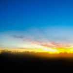 Sander trailer Court