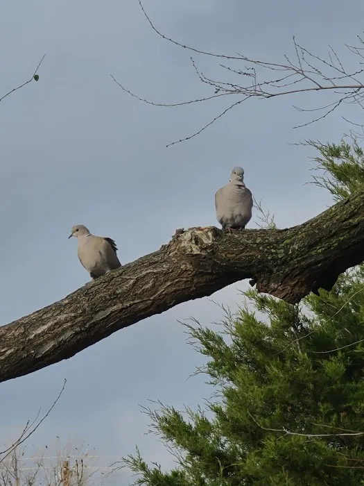 Ashley Lane RV & Mobile Home Picture 5