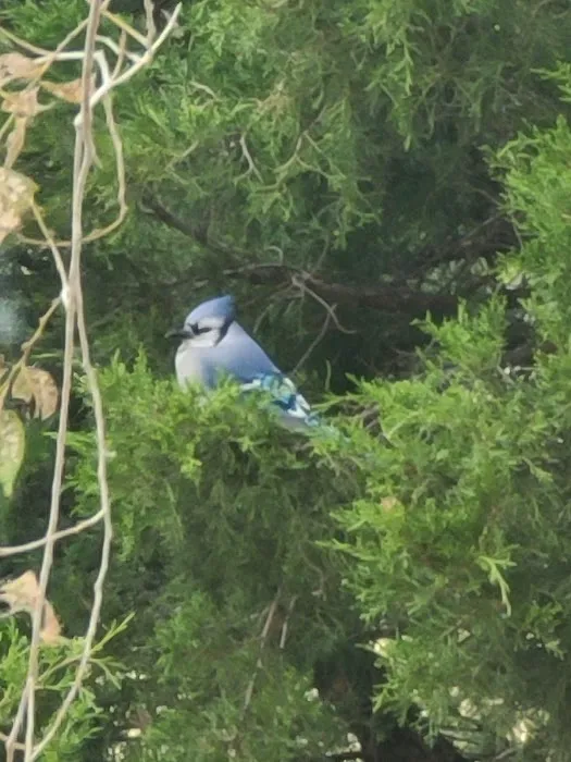 Ashley Lane RV & Mobile Home Picture 7