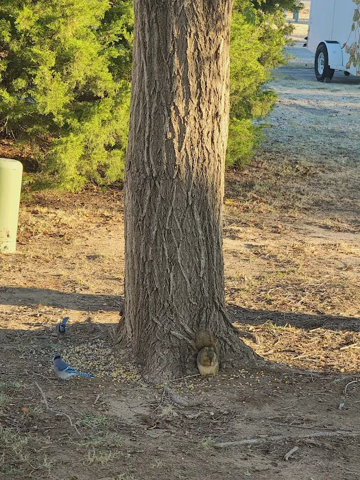 Ashley Lane RV & Mobile Home Picture 10