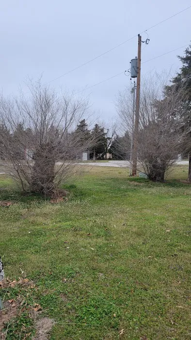 Shady Lane RV Park Picture 1