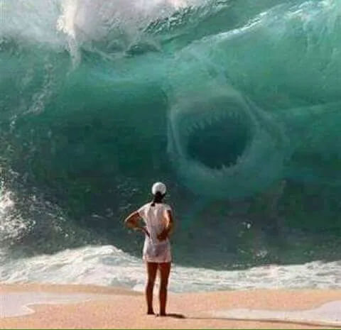 Queen City Mobile Home Community DBA Elk Landing Estates Picture 5