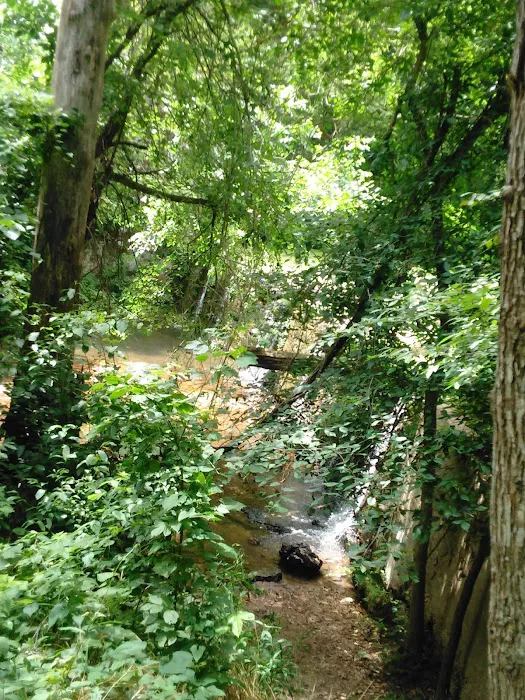 Green Tree RV Park Picture 4