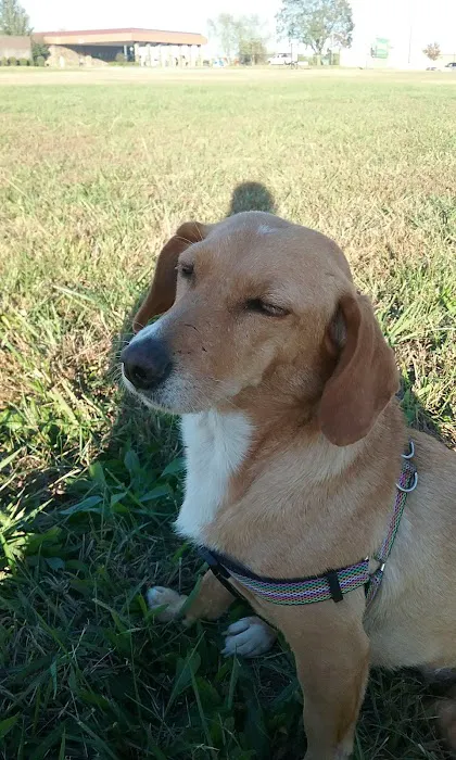 Green Tree RV Park Picture 8