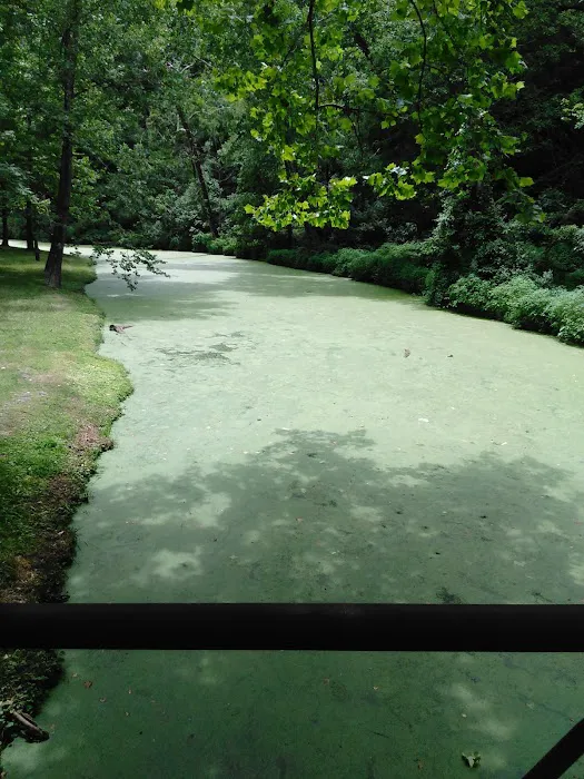 Green Tree RV Park Picture 9