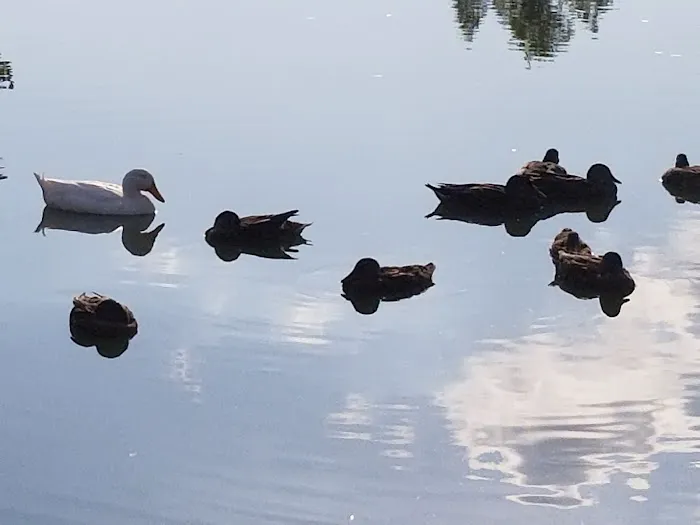 Lazy B RV Park Picture 9