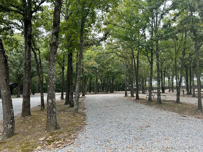 Rustic Ridge | RV Park in NWA Picture 9