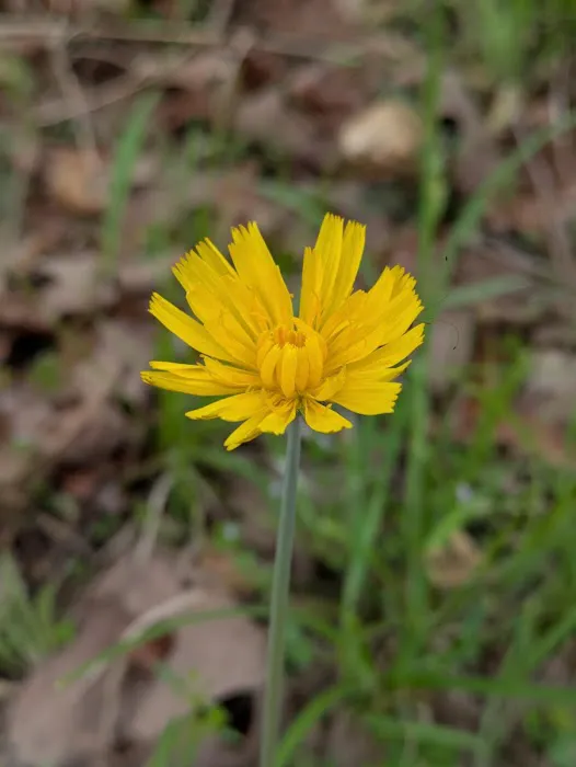 Cary Lane RV Park Picture 5