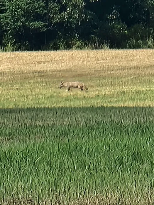 Travelin' Joe RV Park Picture 10