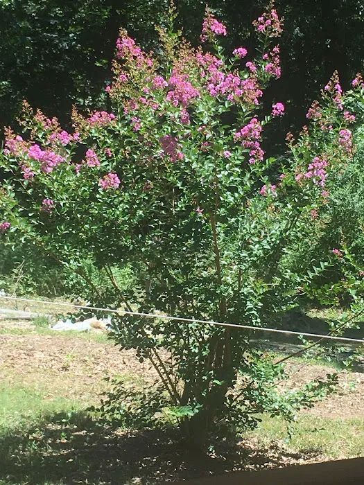 Prairie Creek Picture 1